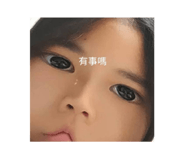 439653577