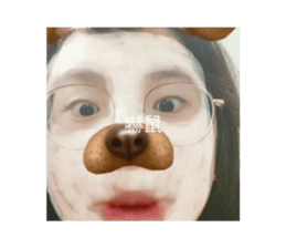 439653579