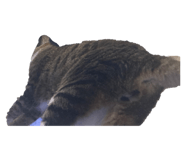 439677476