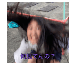 439739593