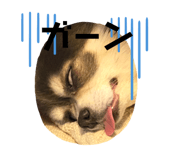 439753231