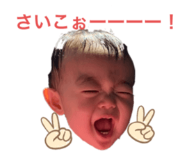 439753731
