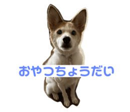 439754993