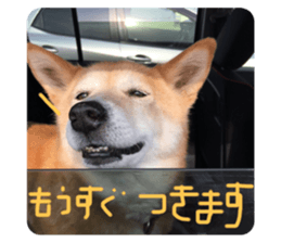 439759855