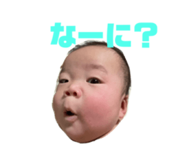439799062