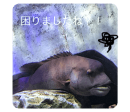439812490
