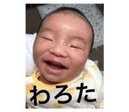 43987299