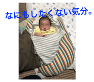 43987309