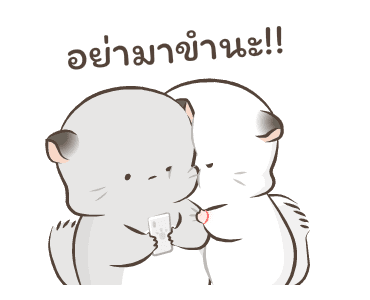 Simao & Bamao ชินชิลลานุ่มนิ่ม 6 รูปที่ 6