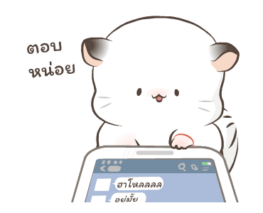 Simao & Bamao ชินชิลลานุ่มนิ่ม 6 รูปที่ 7