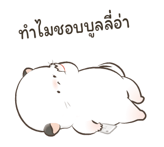 Simao & Bamao ชินชิลลานุ่มนิ่ม 6 รูปที่ 12