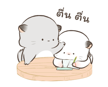 Simao & Bamao ชินชิลลานุ่มนิ่ม 6 รูปที่ 21