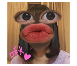 439961311