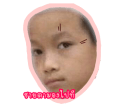 439981350