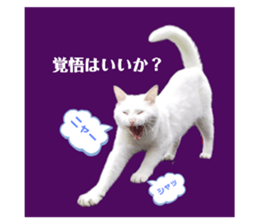 439999717