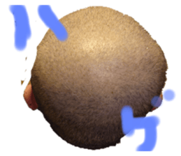 440011670
