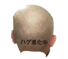 440011673