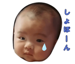 440029150