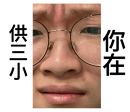 440054310
