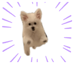 440138677