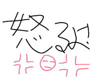 44021716