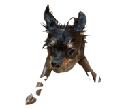 440224085