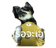 440224087