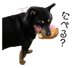 440254980
