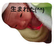 440276737