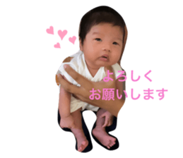 440276823
