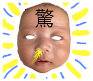 440280482