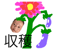 440280485
