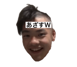 440288678