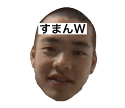 440288681