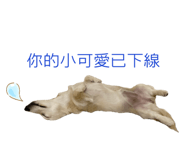 440295338