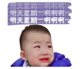 440295588