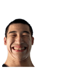 440307181
