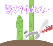 440320017