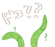 440320019