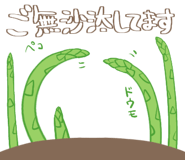 440320020