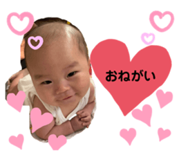 440356704