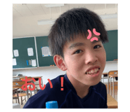 440401578
