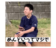 440401583