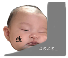 440518487