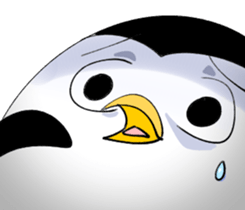 440531224