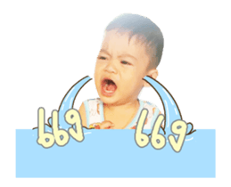 44054029
