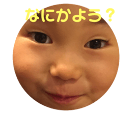 440547020