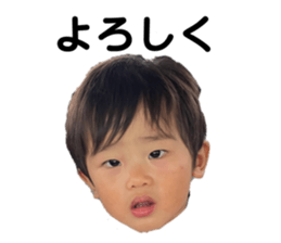 440559254