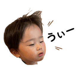 440559255