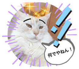 440581429